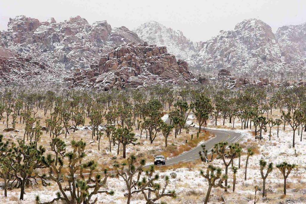 Joshua Tree'S Highland Hideaway Compound Villa Exterior photo